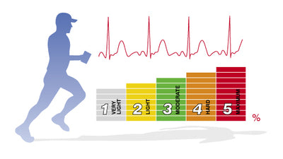 Training in Heart Rate Zones